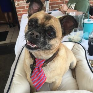 Meet your Posher, Becky